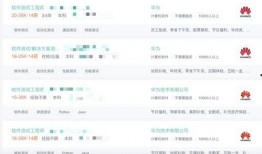 华为员工爆料视频,揭秘公司内部真相与挑战